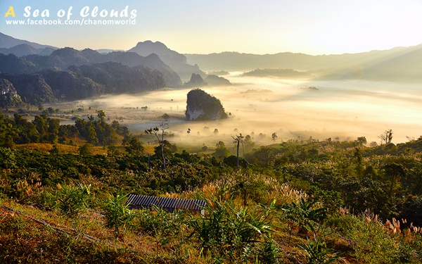 3 ความงามแห่งขุนเขา ภูลังกา ดอยแม่ตะมาน ดอยอินทนนท์ 3 ความงามแห่งขุนเขา ภูลังกา ดอยแม่ตะมาน ดอยอินทนนท์