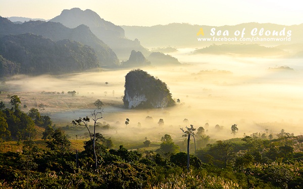 3 ความงามแห่งขุนเขา ภูลังกา ดอยแม่ตะมาน ดอยอินทนนท์ 3 ความงามแห่งขุนเขา ภูลังกา ดอยแม่ตะมาน ดอยอินทนนท์