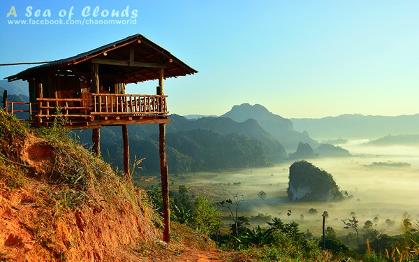 3 ความงามแห่งขุนเขา ภูลังกา ดอยแม่ตะมาน ดอยอินทนนท์ 3 ความงามแห่งขุนเขา ภูลังกา ดอยแม่ตะมาน ดอยอินทนนท์