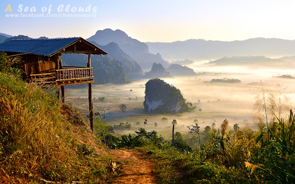 3 ความงามแห่งขุนเขา ภูลังกา ดอยแม่ตะมาน ดอยอินทนนท์ 3 ความงามแห่งขุนเขา ภูลังกา ดอยแม่ตะมาน ดอยอินทนนท์