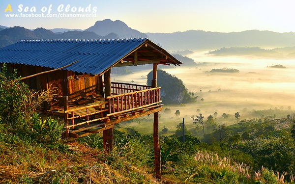 3 ความงามแห่งขุนเขา ภูลังกา ดอยแม่ตะมาน ดอยอินทนนท์ 3 ความงามแห่งขุนเขา ภูลังกา ดอยแม่ตะมาน ดอยอินทนนท์