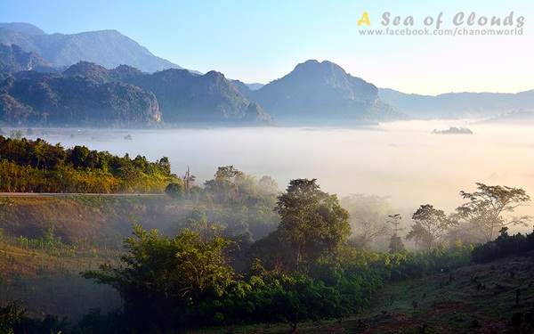 3 ความงามแห่งขุนเขา ภูลังกา ดอยแม่ตะมาน ดอยอินทนนท์ 3 ความงามแห่งขุนเขา ภูลังกา ดอยแม่ตะมาน ดอยอินทนนท์