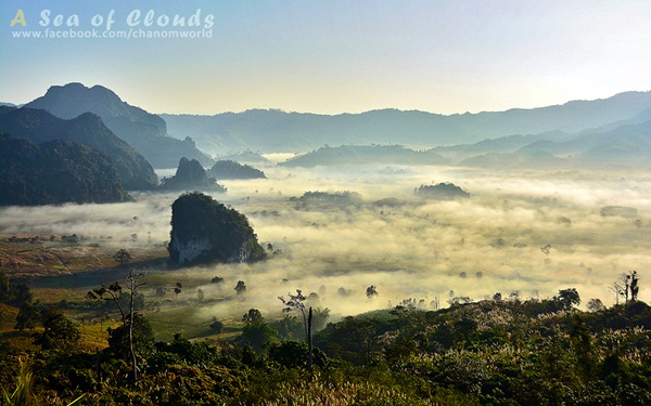 3 ความงามแห่งขุนเขา ภูลังกา ดอยแม่ตะมาน ดอยอินทนนท์ 3 ความงามแห่งขุนเขา ภูลังกา ดอยแม่ตะมาน ดอยอินทนนท์