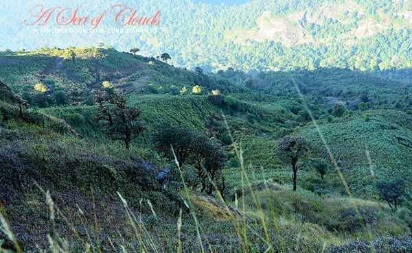 3 ความงามแห่งขุนเขา ภูลังกา ดอยแม่ตะมาน ดอยอินทนนท์ 3 ความงามแห่งขุนเขา ภูลังกา ดอยแม่ตะมาน ดอยอินทนนท์