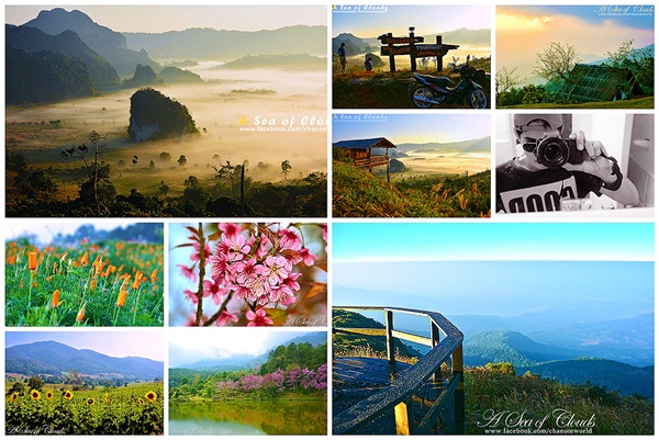 3 ความงามแห่งขุนเขา ภูลังกา ดอยแม่ตะมาน ดอยอินทนนท์ 3 ความงามแห่งขุนเขา ภูลังกา ดอยแม่ตะมาน ดอยอินทนนท์