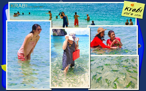 3 ทัวร์กระบี่สุดฮอต เลือกให้ถูกใจก่อนไปตะลุยน้ำทะเลใส ๆ 3 ทัวร์กระบี่สุดฮอต เลือกให้ถูกใจก่อนไปตะลุยน้ำทะเลใส ๆ