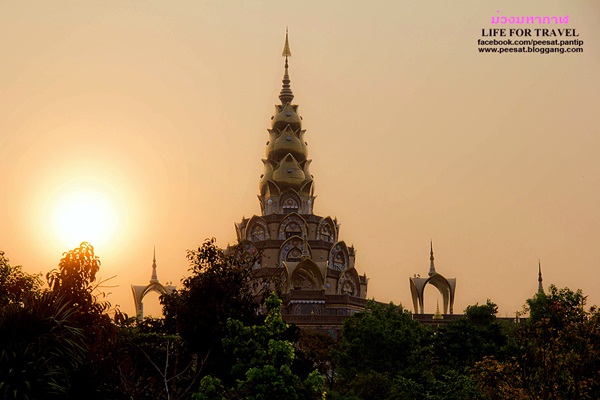 ผาซ่อนแก้ว-ภูชี้ฟ้า เส้นทางธรรมชาติ กับความแตกต่างของฤดูกาล ผาซ่อนแก้ว-ภูชี้ฟ้า เส้นทางธรรมชาติ กับความแตกต่างของฤดูกาล