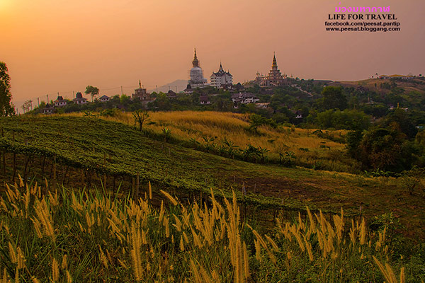 ผาซ่อนแก้ว-ภูชี้ฟ้า เส้นทางธรรมชาติ กับความแตกต่างของฤดูกาล ผาซ่อนแก้ว-ภูชี้ฟ้า เส้นทางธรรมชาติ กับความแตกต่างของฤดูกาล