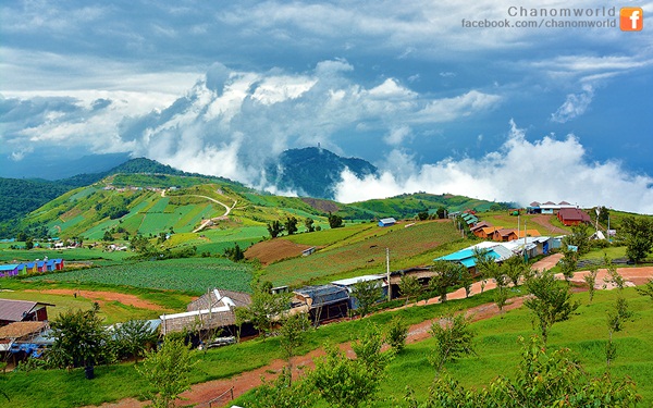 เมื่อสายหมอกโอบกอดขุนเขา @ ภูทับเบิก ในฤดูฝน เมื่อสายหมอกโอบกอดขุนเขา @ ภูทับเบิก ในฤดูฝน