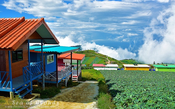 เมื่อสายหมอกโอบกอดขุนเขา @ ภูทับเบิก ในฤดูฝน เมื่อสายหมอกโอบกอดขุนเขา @ ภูทับเบิก ในฤดูฝน