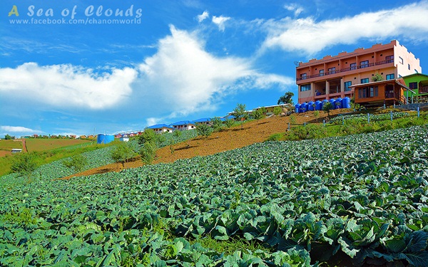 เมื่อสายหมอกโอบกอดขุนเขา @ ภูทับเบิก ในฤดูฝน เมื่อสายหมอกโอบกอดขุนเขา @ ภูทับเบิก ในฤดูฝน