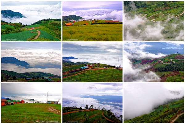 เมื่อสายหมอกโอบกอดขุนเขา @ ภูทับเบิก ในฤดูฝน เมื่อสายหมอกโอบกอดขุนเขา @ ภูทับเบิก ในฤดูฝน