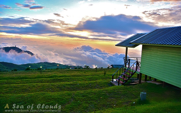 เมื่อสายหมอกโอบกอดขุนเขา @ ภูทับเบิก ในฤดูฝน เมื่อสายหมอกโอบกอดขุนเขา @ ภูทับเบิก ในฤดูฝน