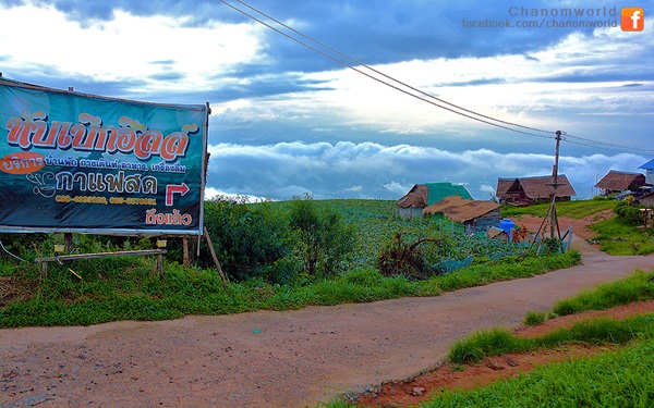 เมื่อสายหมอกโอบกอดขุนเขา @ ภูทับเบิก ในฤดูฝน เมื่อสายหมอกโอบกอดขุนเขา @ ภูทับเบิก ในฤดูฝน