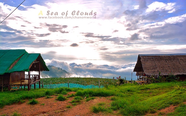 เมื่อสายหมอกโอบกอดขุนเขา @ ภูทับเบิก ในฤดูฝน เมื่อสายหมอกโอบกอดขุนเขา @ ภูทับเบิก ในฤดูฝน