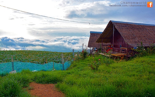 เมื่อสายหมอกโอบกอดขุนเขา @ ภูทับเบิก ในฤดูฝน เมื่อสายหมอกโอบกอดขุนเขา @ ภูทับเบิก ในฤดูฝน