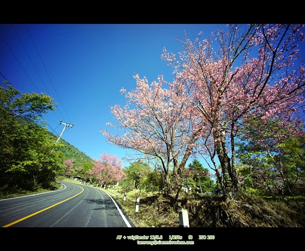 ดอยอินทนนท์ สูงสุดแดนสยาม สวยงามทุกฤดูกาล ดอยอินทนนท์ สูงสุดแดนสยาม สวยงามทุกฤดูกาล