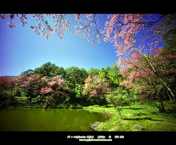 ดอยอินทนนท์ สูงสุดแดนสยาม สวยงามทุกฤดูกาล ดอยอินทนนท์ สูงสุดแดนสยาม สวยงามทุกฤดูกาล