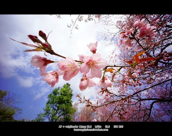 ดอยอินทนนท์ สูงสุดแดนสยาม สวยงามทุกฤดูกาล ดอยอินทนนท์ สูงสุดแดนสยาม สวยงามทุกฤดูกาล