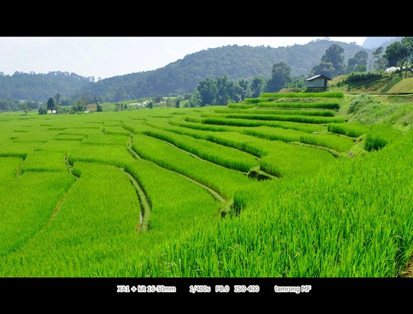ดอยอินทนนท์ สูงสุดแดนสยาม สวยงามทุกฤดูกาล ดอยอินทนนท์ สูงสุดแดนสยาม สวยงามทุกฤดูกาล