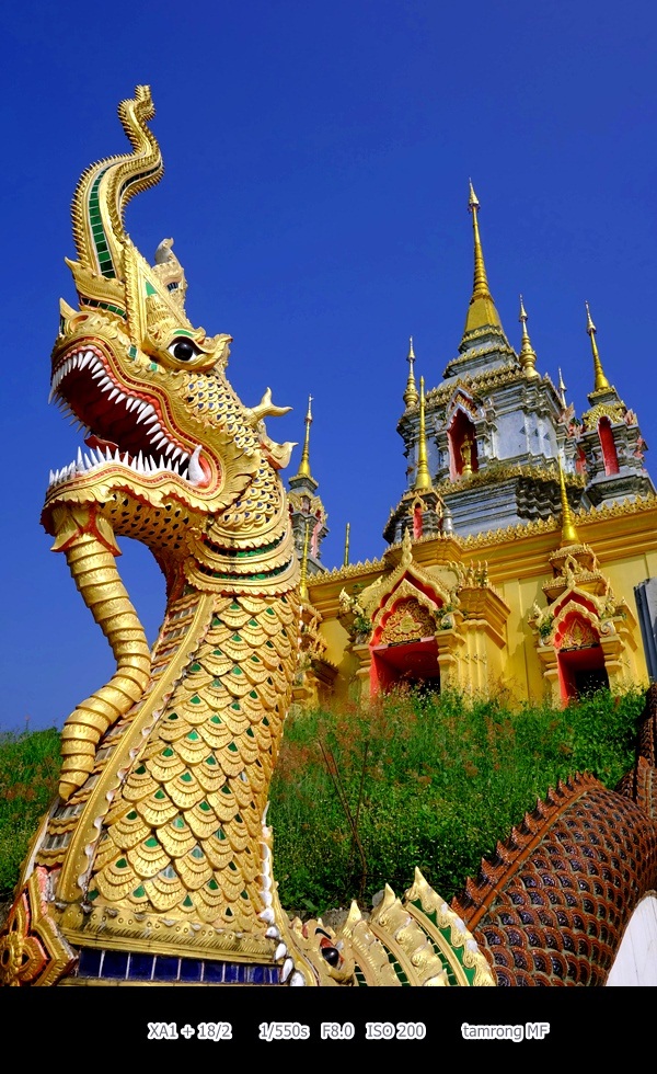 ดอยอินทนนท์ สูงสุดแดนสยาม สวยงามทุกฤดูกาล ดอยอินทนนท์ สูงสุดแดนสยาม สวยงามทุกฤดูกาล