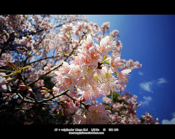 ดอยอินทนนท์ สูงสุดแดนสยาม สวยงามทุกฤดูกาล ดอยอินทนนท์ สูงสุดแดนสยาม สวยงามทุกฤดูกาล