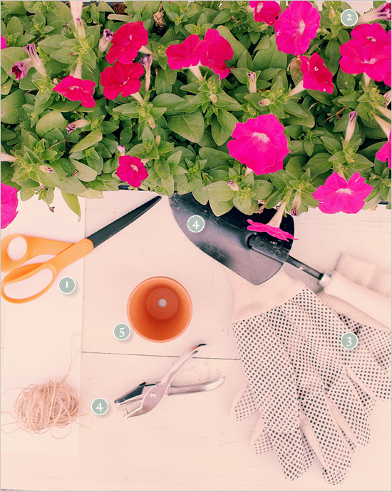 กระถางต้นไม้จิ๋ว ของชำร่วยงานแต่ง DIY สุดเก๋ กระถางต้นไม้จิ๋ว ของชำร่วยงานแต่ง DIY สุดเก๋
