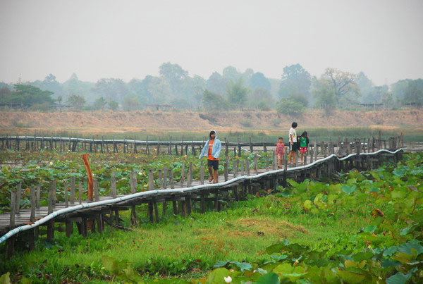 รวมสะพานสวย ๆ ทั่วไทย อันซีนแดนสยามที่ห้ามพลาด รวมสะพานสวย ๆ ทั่วไทย อันซีนแดนสยามที่ห้ามพลาด