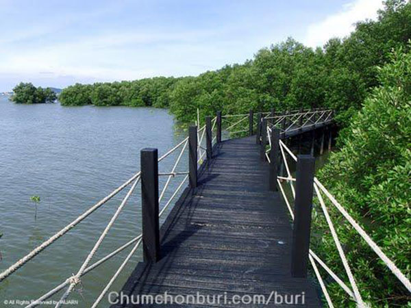 รวมสะพานสวย ๆ ทั่วไทย อันซีนแดนสยามที่ห้ามพลาด รวมสะพานสวย ๆ ทั่วไทย อันซีนแดนสยามที่ห้ามพลาด