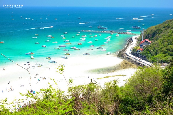 หนีร้อนไปเกาะล้านแบบไปเช้า-เย็นกลับ ด้วยงบไม่ถึง 1,000 บาท หนีร้อนไปเกาะล้านแบบไปเช้า-เย็นกลับ ด้วยงบไม่ถึง 1,000 บาท