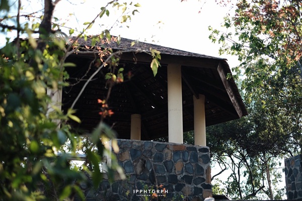 หนีร้อนไปเกาะล้านแบบไปเช้า-เย็นกลับ ด้วยงบไม่ถึง 1,000 บาท หนีร้อนไปเกาะล้านแบบไปเช้า-เย็นกลับ ด้วยงบไม่ถึง 1,000 บาท