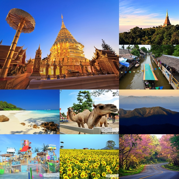 ปีใหม่เที่ยวไหนดี 2558 ใครหาที่เที่ยวปีใหม่คลิกเลย ปีใหม่เที่ยวไหนดี 2558 ใครหาที่เที่ยวปีใหม่คลิกเลย