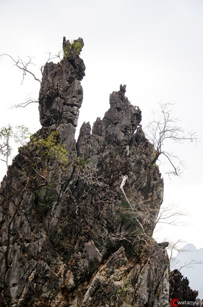 เยือนเขื่อนเชี่ยวหลานกุ้ยหลินเมืองไทย นอนชิล ๆ แพ 500 ไร่ เยือนเขื่อนเชี่ยวหลานกุ้ยหลินเมืองไทย นอนชิล ๆ แพ 500 ไร่