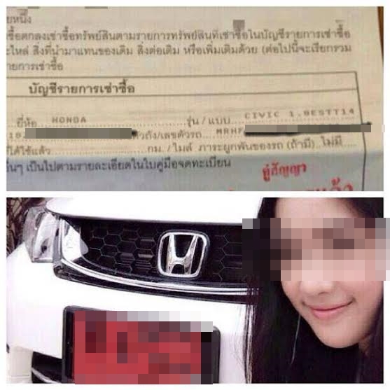 ปุยนุ่น ปุยนุ่น