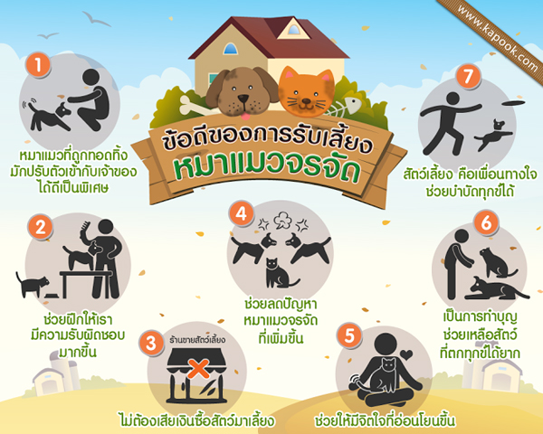 7 ข้อดีของการรับเลี้ยงหมาจรจัด แมวจรจัด สู่บ้านอันอบอุ่น 7 ข้อดีของการรับเลี้ยงหมาจรจัด แมวจรจัด สู่บ้านอันอบอุ่น