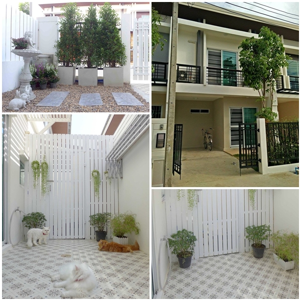แต่งสวนหน้าบ้าน-หลังบ้านทาวน์เฮ้าส์ แบบงบจำกัด แต่งสวนหน้าบ้าน-หลังบ้านทาวน์เฮ้าส์ แบบงบจำกัด