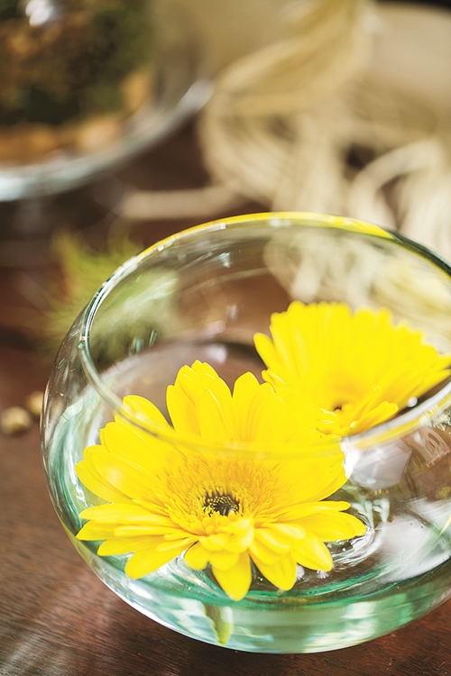 diy ม่านดอกไม้แสนสดชื่น จากเทคนิคมาคราเม่ diy ม่านดอกไม้แสนสดชื่น จากเทคนิคมาคราเม่