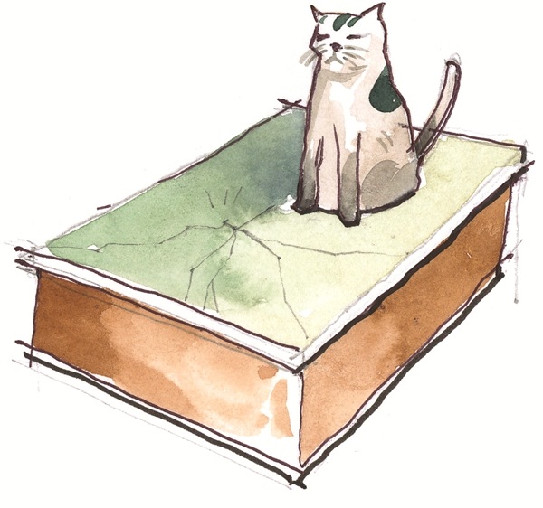 วิธีจัดบ้านให้คนและสัตว์อยู่ร่วมกันอย่างแฮปปี้ วิธีจัดบ้านให้คนและสัตว์อยู่ร่วมกันอย่างแฮปปี้