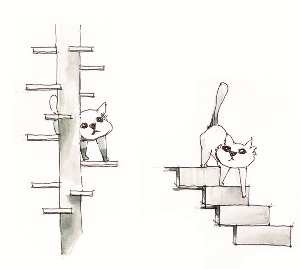 วิธีจัดบ้านให้คนและสัตว์อยู่ร่วมกันอย่างแฮปปี้ วิธีจัดบ้านให้คนและสัตว์อยู่ร่วมกันอย่างแฮปปี้