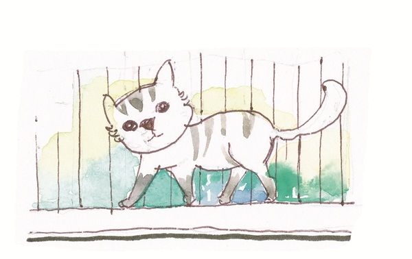 วิธีจัดบ้านให้คนและสัตว์อยู่ร่วมกันอย่างแฮปปี้ วิธีจัดบ้านให้คนและสัตว์อยู่ร่วมกันอย่างแฮปปี้