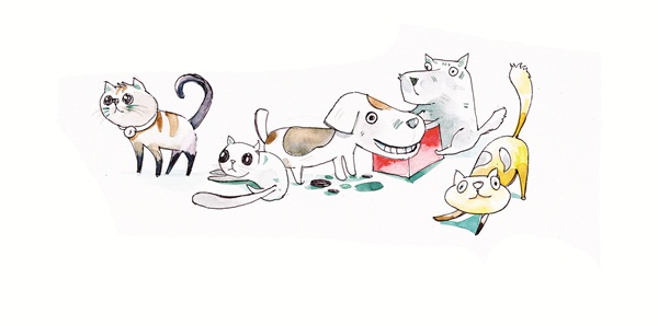 วิธีจัดบ้านให้คนและสัตว์อยู่ร่วมกันอย่างแฮปปี้ วิธีจัดบ้านให้คนและสัตว์อยู่ร่วมกันอย่างแฮปปี้