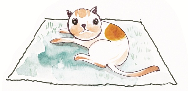 วิธีจัดบ้านให้คนและสัตว์อยู่ร่วมกันอย่างแฮปปี้ วิธีจัดบ้านให้คนและสัตว์อยู่ร่วมกันอย่างแฮปปี้