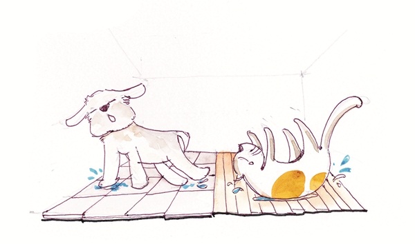 วิธีจัดบ้านให้คนและสัตว์อยู่ร่วมกันอย่างแฮปปี้ วิธีจัดบ้านให้คนและสัตว์อยู่ร่วมกันอย่างแฮปปี้