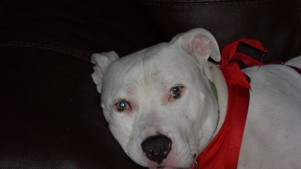 15 ภาพสัตว์กับความไม่ธรรมดาของขน ที่คนเห็นแล้วฮา 15 ภาพสัตว์กับความไม่ธรรมดาของขน ที่คนเห็นแล้วฮา