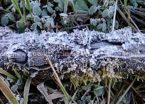 ยอดดอยอินทนนท์ กิ่วแม่ปาน อุณหภูมิดิ่งเหลือ 2 องศา พบแม่คะนิ้ง ยอดดอยอินทนนท์ กิ่วแม่ปาน อุณหภูมิดิ่งเหลือ 2 องศา พบแม่คะนิ้ง