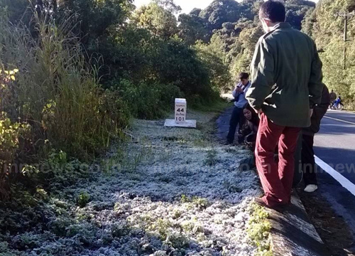 ยอดดอยอินทนนท์ กิ่วแม่ปาน อุณหภูมิดิ่งเหลือ 2 องศา พบแม่คะนิ้ง ยอดดอยอินทนนท์ กิ่วแม่ปาน อุณหภูมิดิ่งเหลือ 2 องศา พบแม่คะนิ้ง