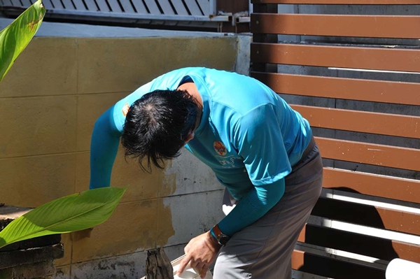 เปลี่ยนพื้นที่รก ๆ ริมรั้ว ให้เป็นสวนครัวกินได้ เปลี่ยนพื้นที่รก ๆ ริมรั้ว ให้เป็นสวนครัวกินได้
