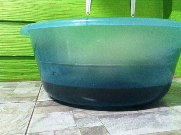 ทำที่นอนแมวเย็นฉ่ำ DIY ง่าย ๆ ให้เหมียวคลายร้อ ทำที่นอนแมวเย็นฉ่ำ DIY ง่าย ๆ ให้เหมียวคลายร้อ