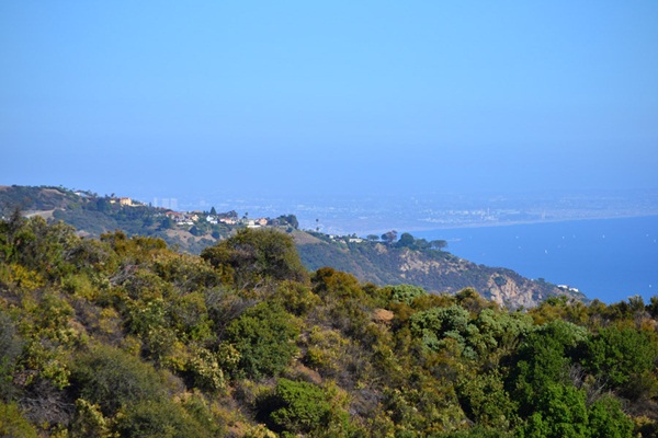 เศรษฐีหล่อพันล้านอายุน้อยที่สุดในโลก กับชีวิตน่าอิจฉา เศรษฐีหล่อพันล้านอายุน้อยที่สุดในโลก กับชีวิตน่าอิจฉา