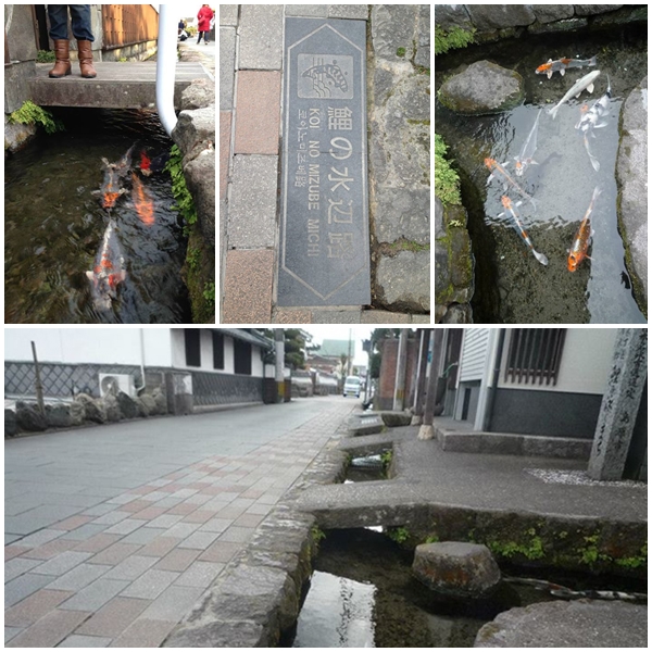 คาร์พ สตรีท Carp Street แห่งเมืองชิมาบาระ คาร์พ สตรีท Carp Street แห่งเมืองชิมาบาระ